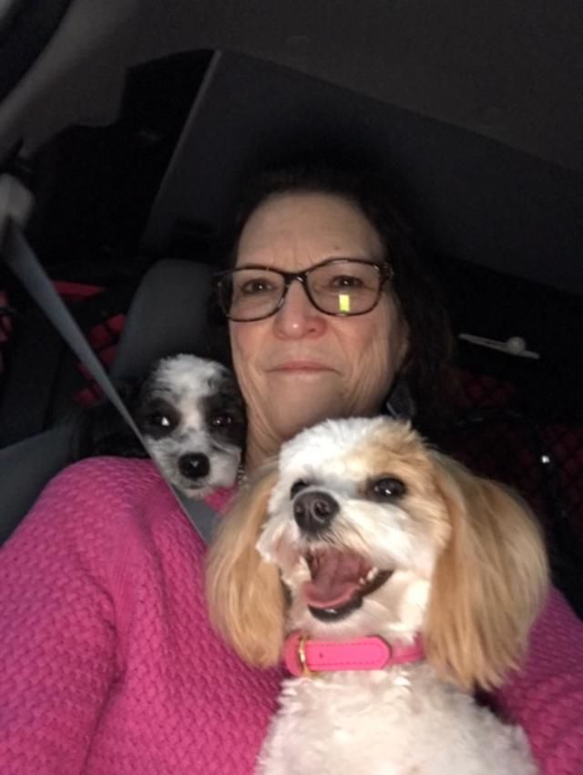 Owner-dog selfies: My girls