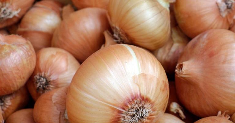 Master Gardeners: Sweet and easy on the eyes | Home And Garden Master Gardeners: Sweet and easy on the eyes | Home And Garden