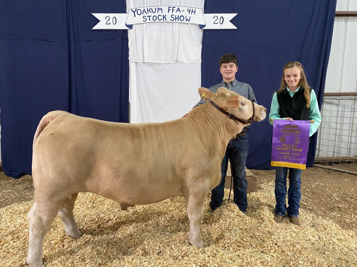 Yoakum Students Sell Animals For Combied 125 176 Dewitt