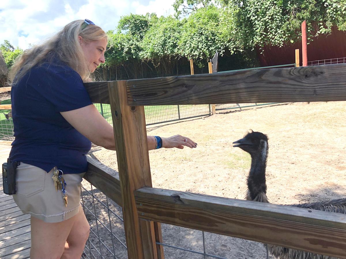 Texas Zoo S New Director Awash In Optimism Business Victoriaadvocate Com
