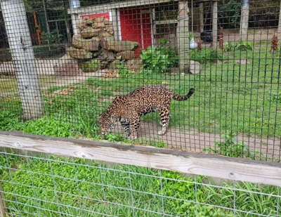 Texas Zoo