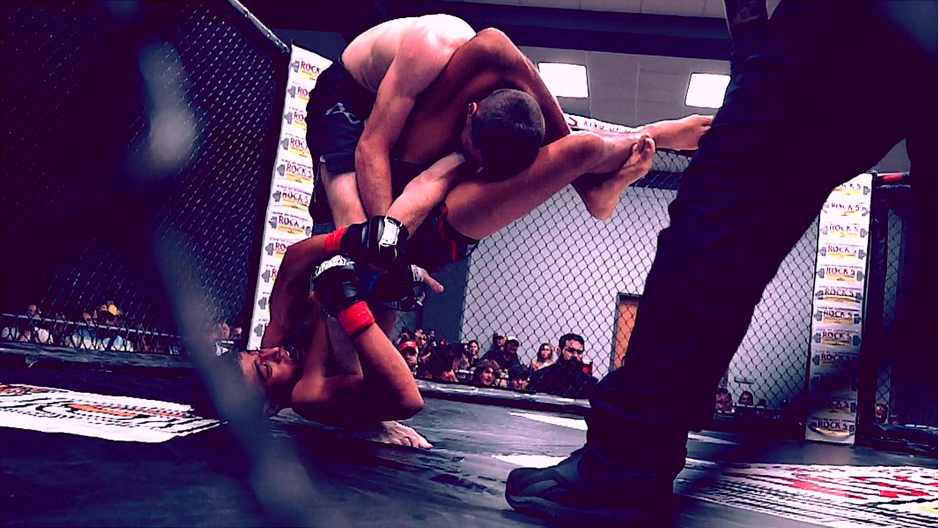 MMA comes to Victoria with knockout event | For Subscribers Only