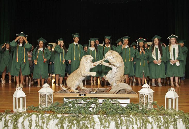 Photo Gallery Bloomington High School Graduation