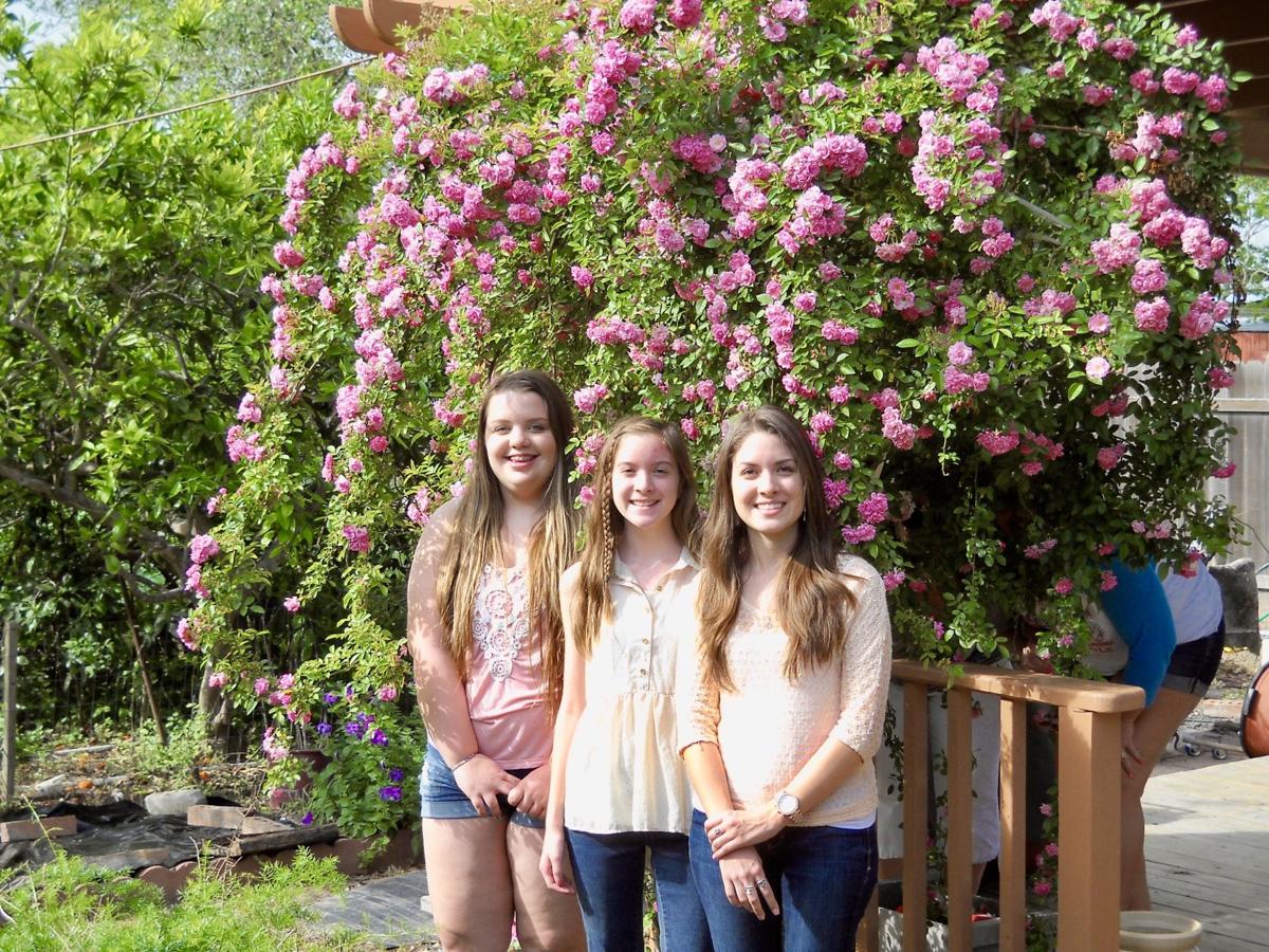 Gardens: Flowers from Louise