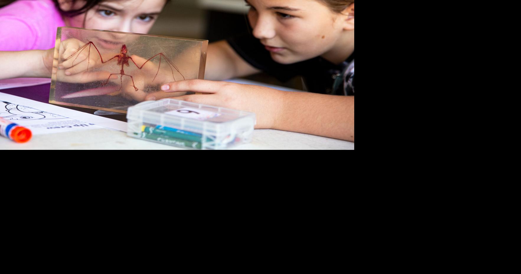Zoo Squad provides pleasurable, education and learning to homeschooled young children at Texas Zoo | News