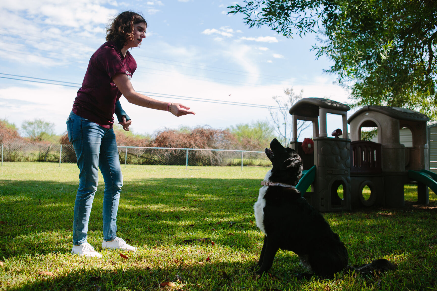 victoria dog park