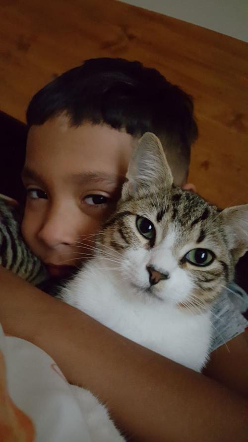Cat selfies: My little one and his cat