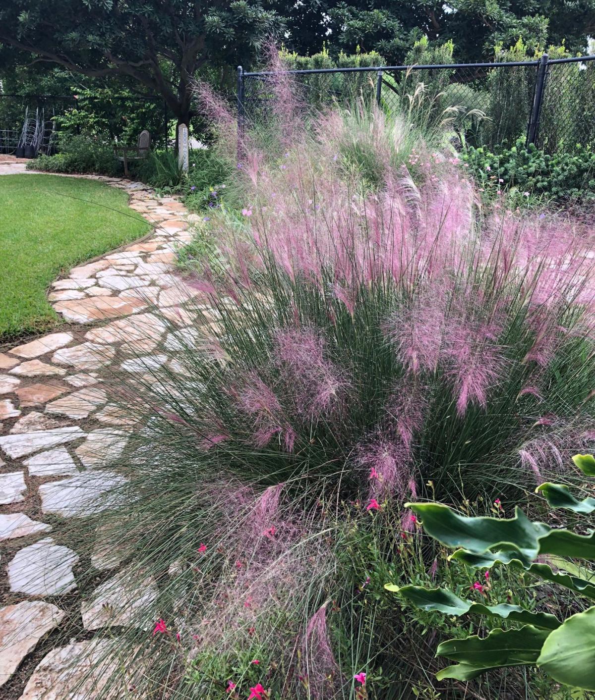Coastal Prairie Gardens Home And Garden Victoriaadvocate Com