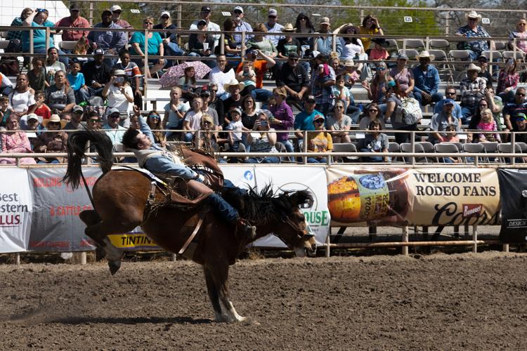 Gallery Scenes from the 2022 Goliad Rodeo Multimedia