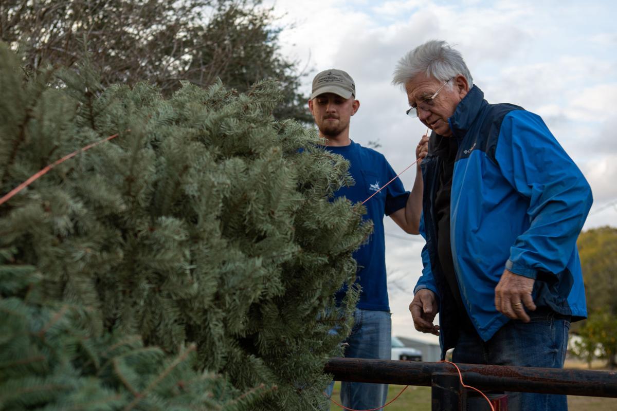 Victoria Women Gather Christmas Trees To Help Rebuild Sand Dunes