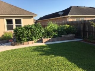 Gardens: Flower/Vegetable Garden