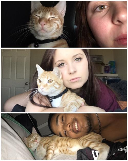 Cat selfies: Draco