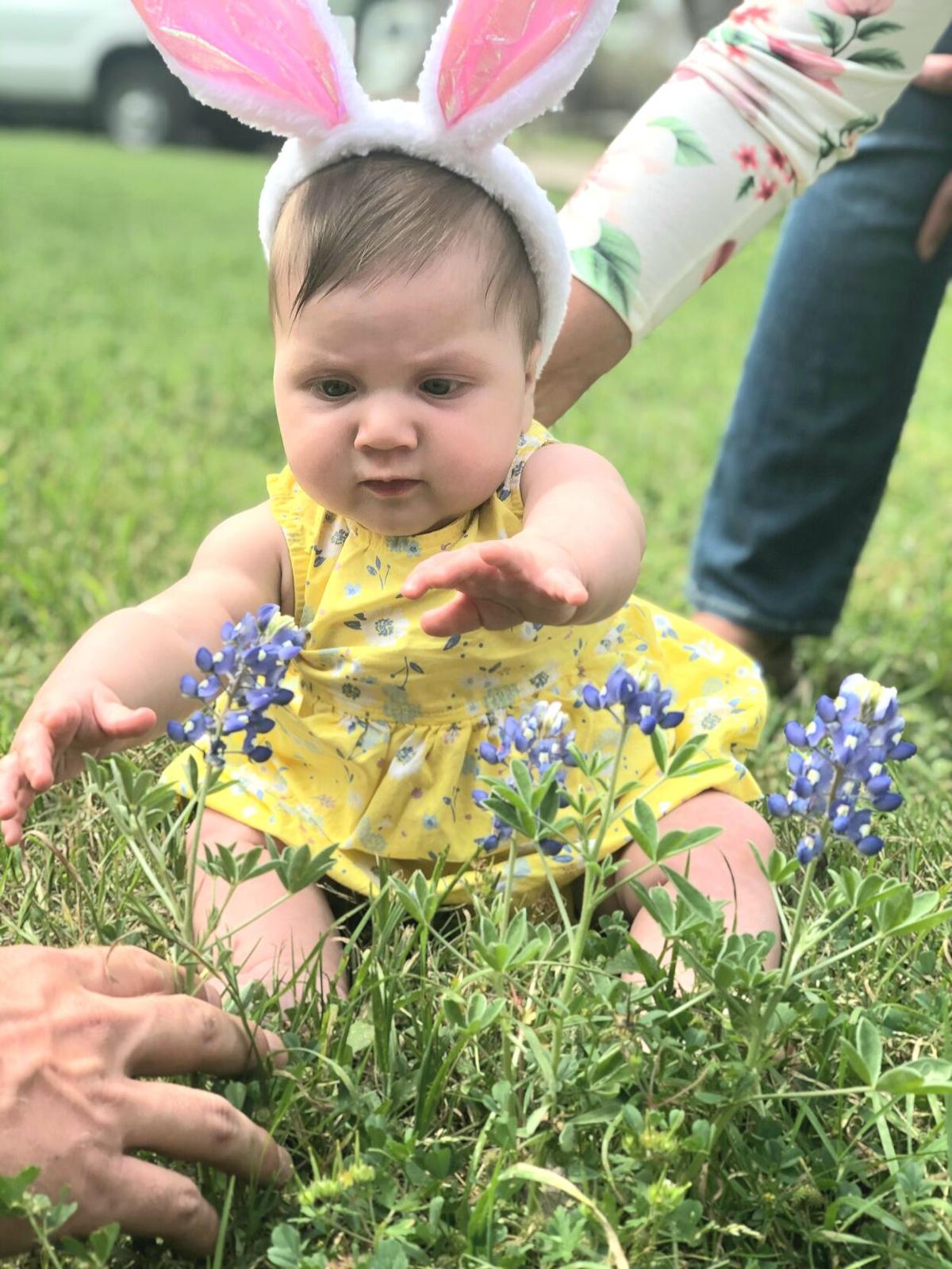Wildflowers 2021: Easter