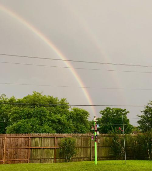 The pot of gold is in my backyard
