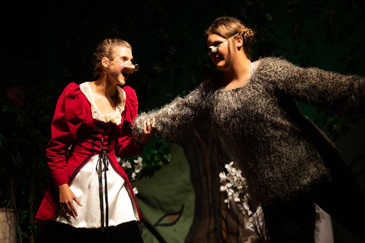 Pinocchio Commedia at the Shiner Gaslight Theatre