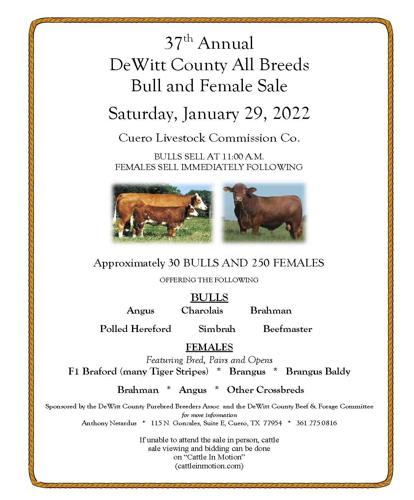 DeWitt County All Breeds Bull and Female Sale planned for Jan. 29 | DeWitt  