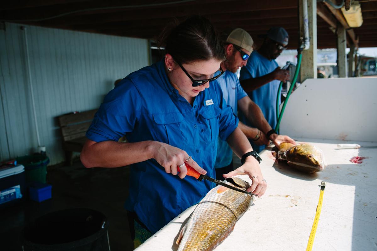 Researchers study relationship between plastics, mercury in local bays
