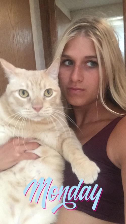 Cat selfies: Mr. Pickles & The Fabulous Mikayla
