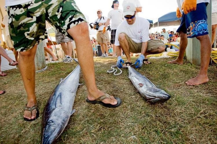 Fishermen have good time at Poco Bueno Tournament Local News