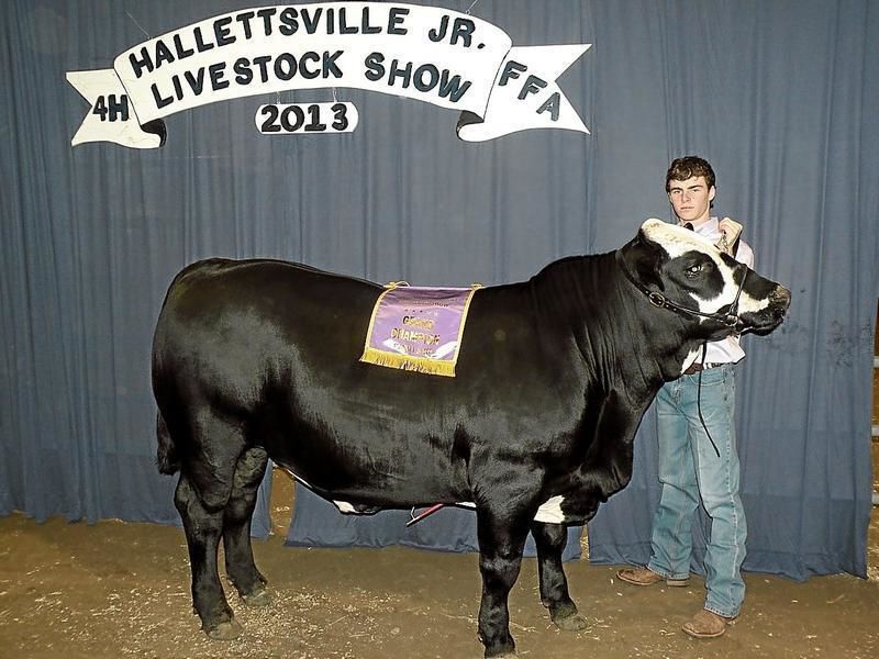 Sales record set at Hallettsville Livestock Show Lavaca