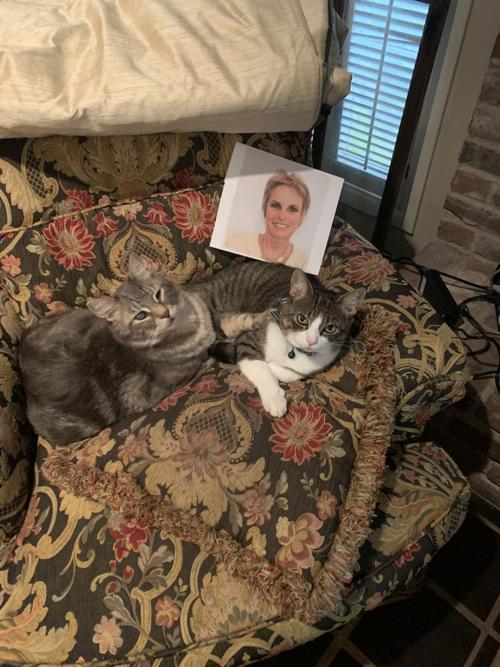 Cat selfies: Billi & Sweetpants with their Mom