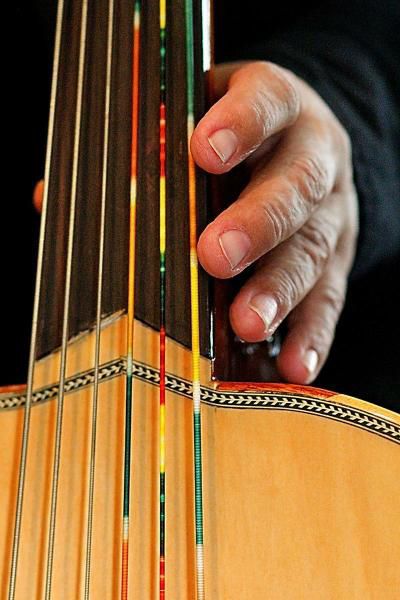 Studying the origin of music a musician learns about himself