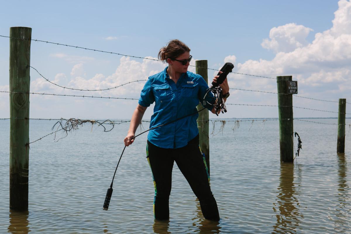 Researchers study relationship between plastics, mercury in local bays