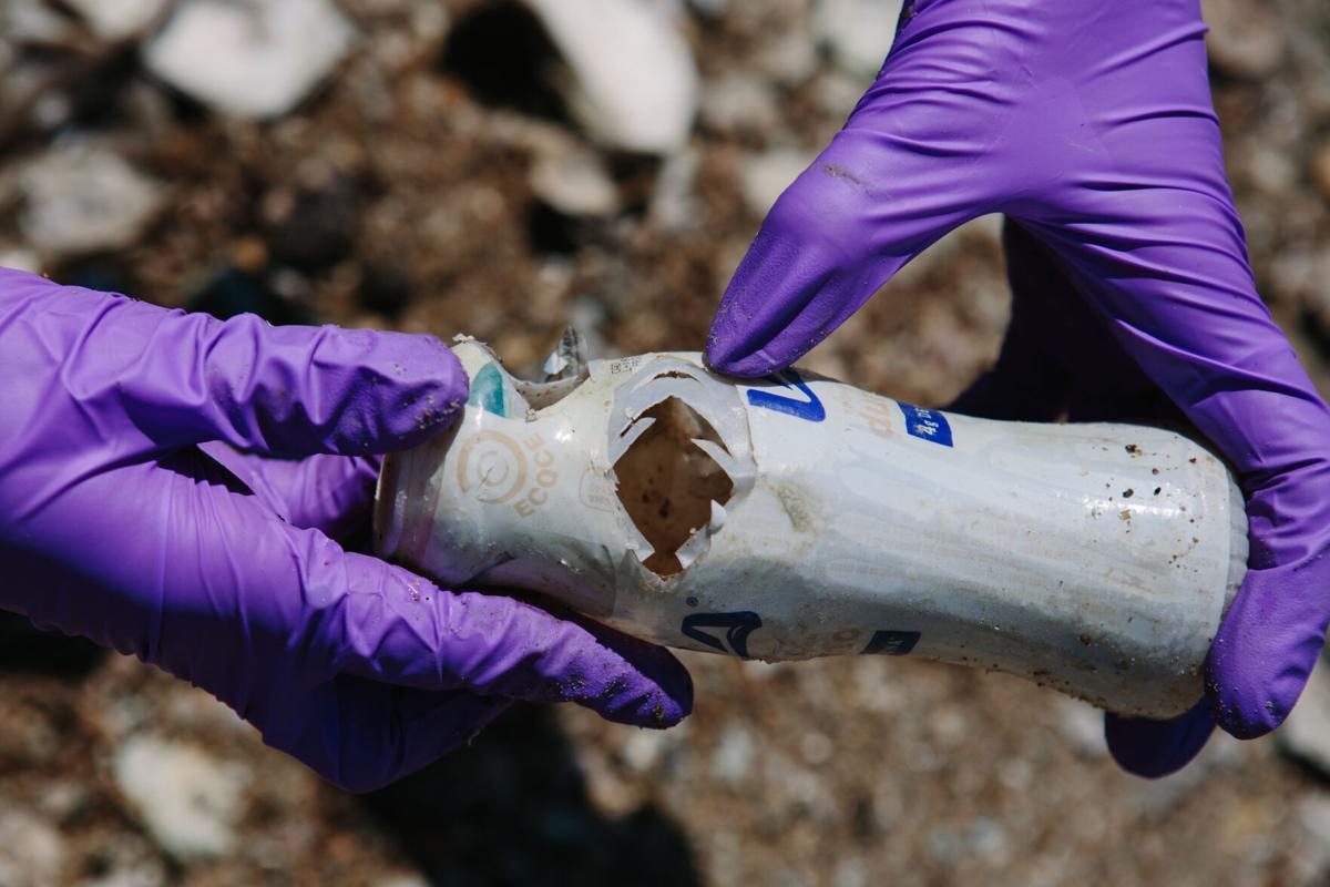 Researchers study relationship between plastics, mercury in local bays