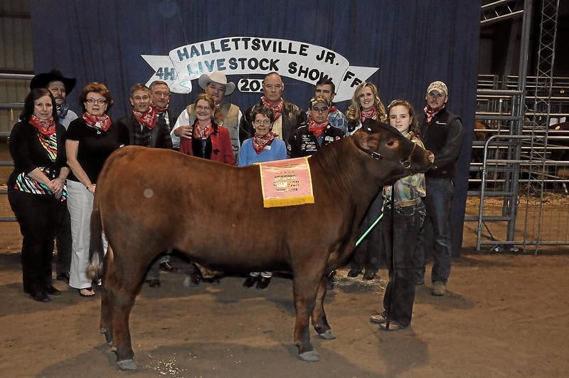 Hallettsville Jr. Livestock Show shatters sales record Lavaca