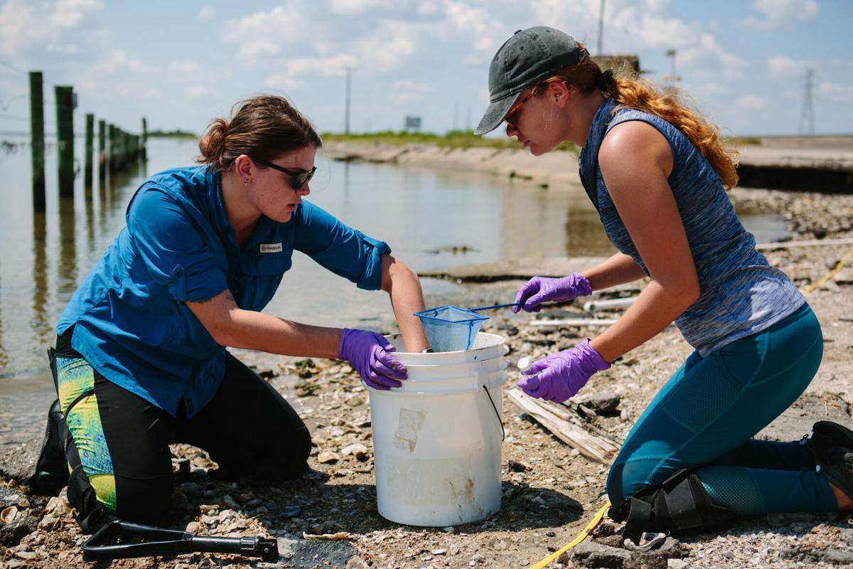 Researchers study relationship between plastics, mercury in local bays