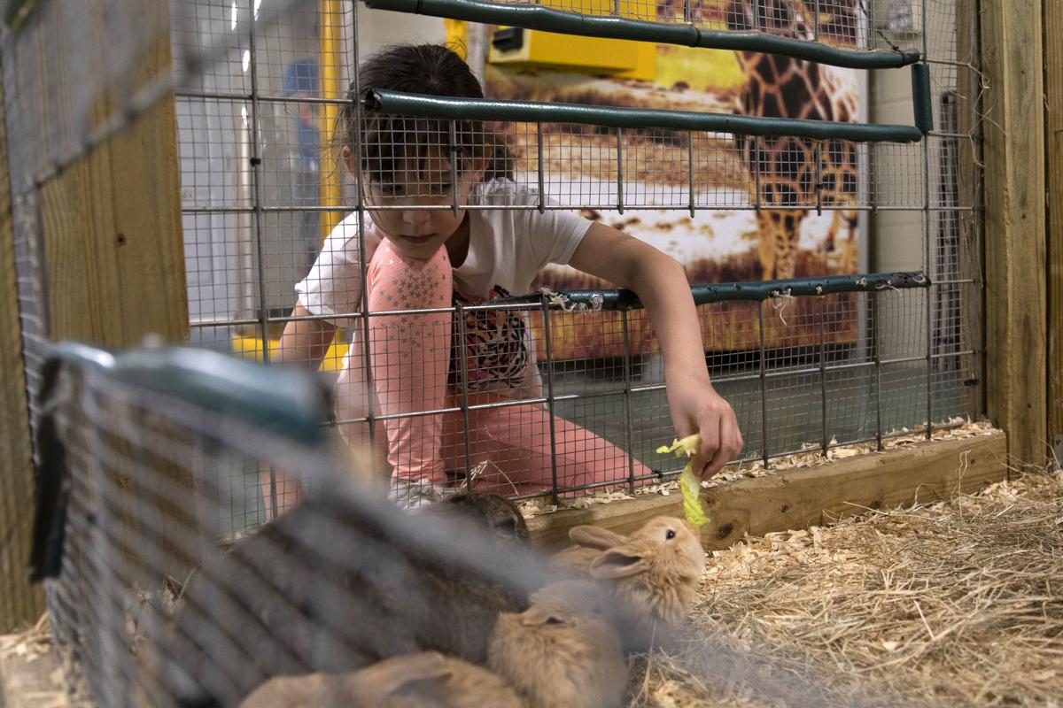 Texas Zoo Reopens With New Safety Measures In Place W Photo Gallery Premium Victoriaadvocate Com