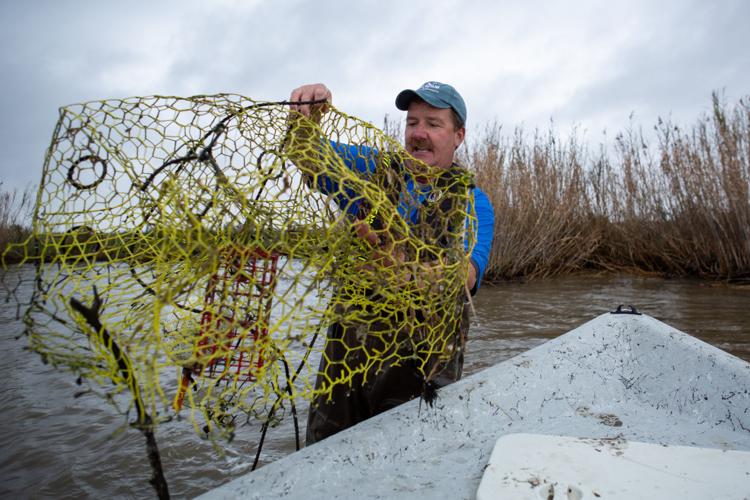 Volunteers sweep coastal waters for abandoned crab traps, Environment