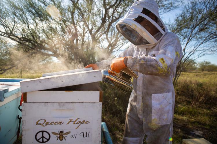 It's March: The Beekeepers' Busy Season