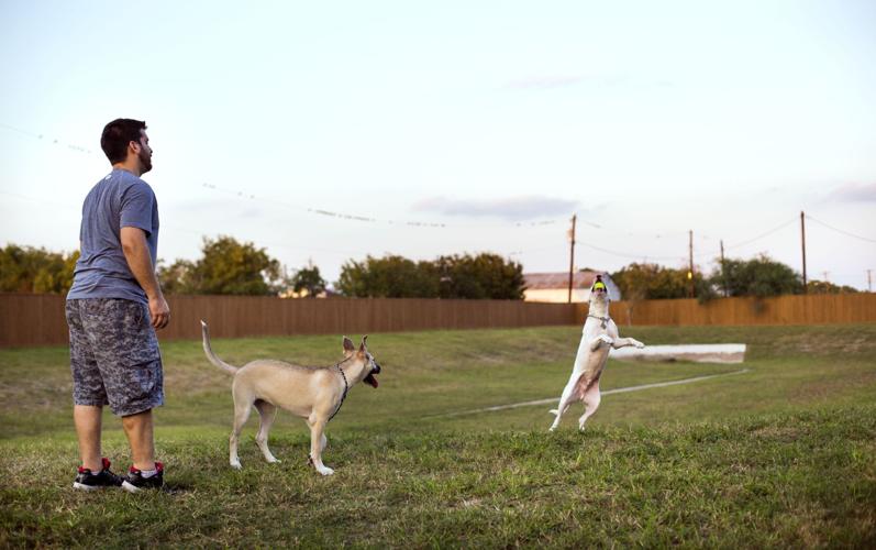 Pro con Should Apartments Charge Monthly Fees For Pets Business how-much-do-apartments-charge-for-dogs