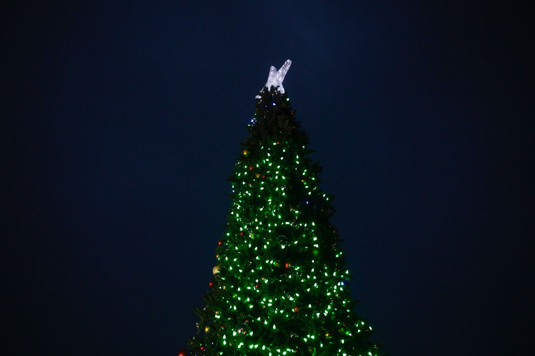 Christmas Tree Lighting Dazzles Downtown With Cheer | For Subscribers ...