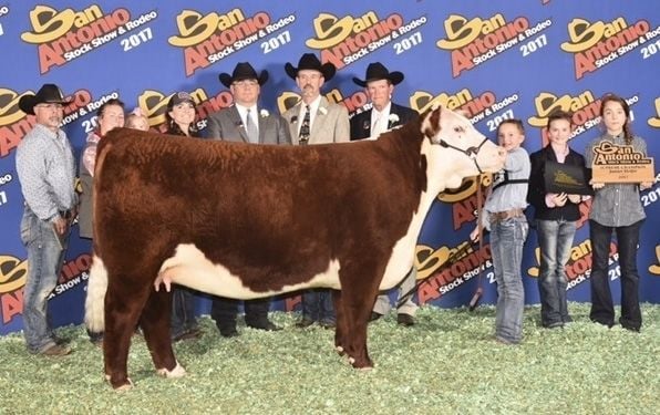 Refugio girl shows top heifer at livestock show | Refugio ...