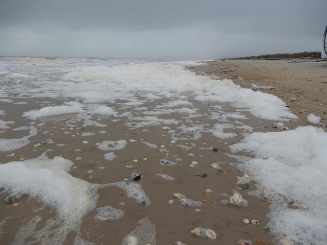 What on Earth is the foamy stuff on the beach?, Local News