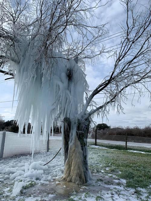 Snow Day: Ice
