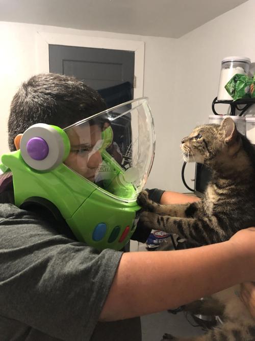 Cat selfies: To infinity & beyond
