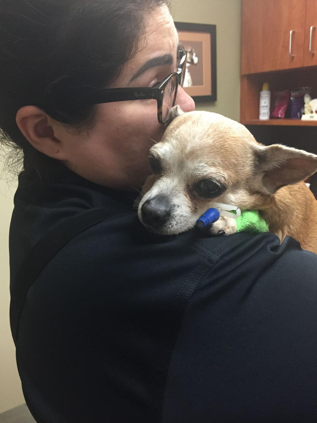 Owner-dog selfies: Vannessa and Tigger Pooh