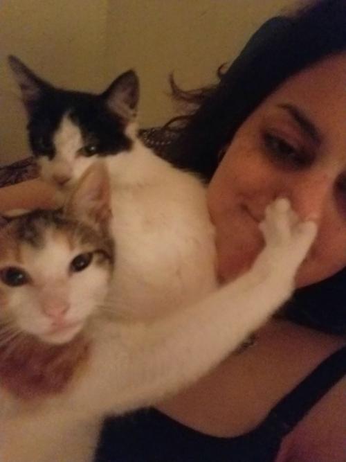 Cat selfies: Photobomb