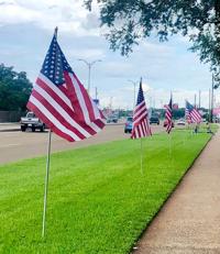 Patriotism: Navarro American flags