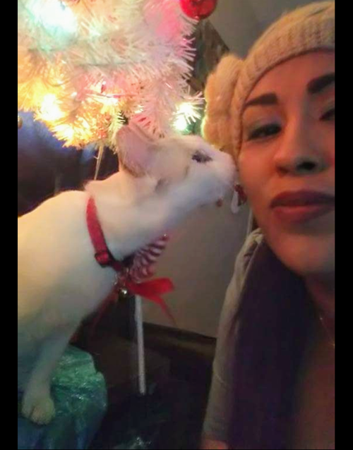 Cat selfies: Lala