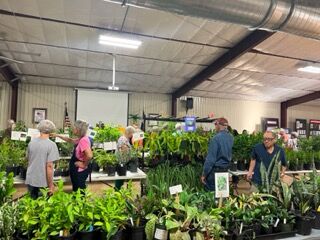 Lots and Lots of Pots! - Junior Master Gardener