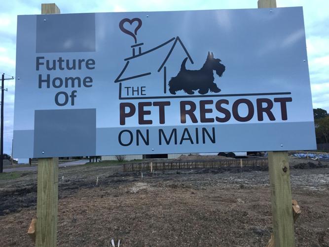 Victoria vet builds pet resort Business