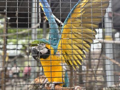 Texas Zoo