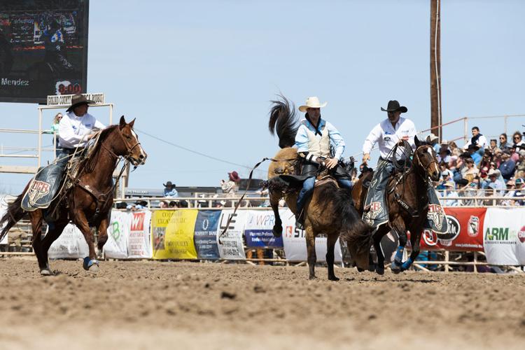 Gallery Scenes from the 2022 Goliad Rodeo Multimedia