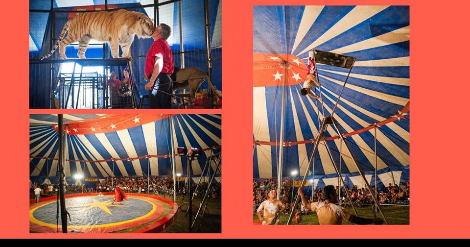 Shiner Culpepper & Merriweather Circus Calendar