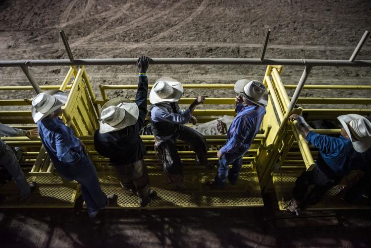 Bull riders help raise money for Goliad youths Local News Bull riders help raise money for Goliad youths Local News