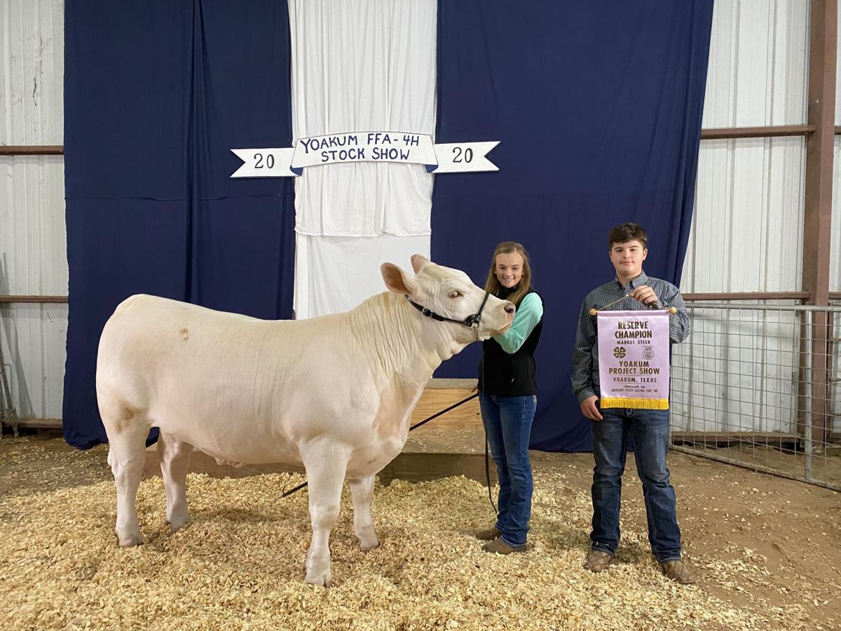 Yoakum Students Sell Animals For Combied 125 176 Dewitt